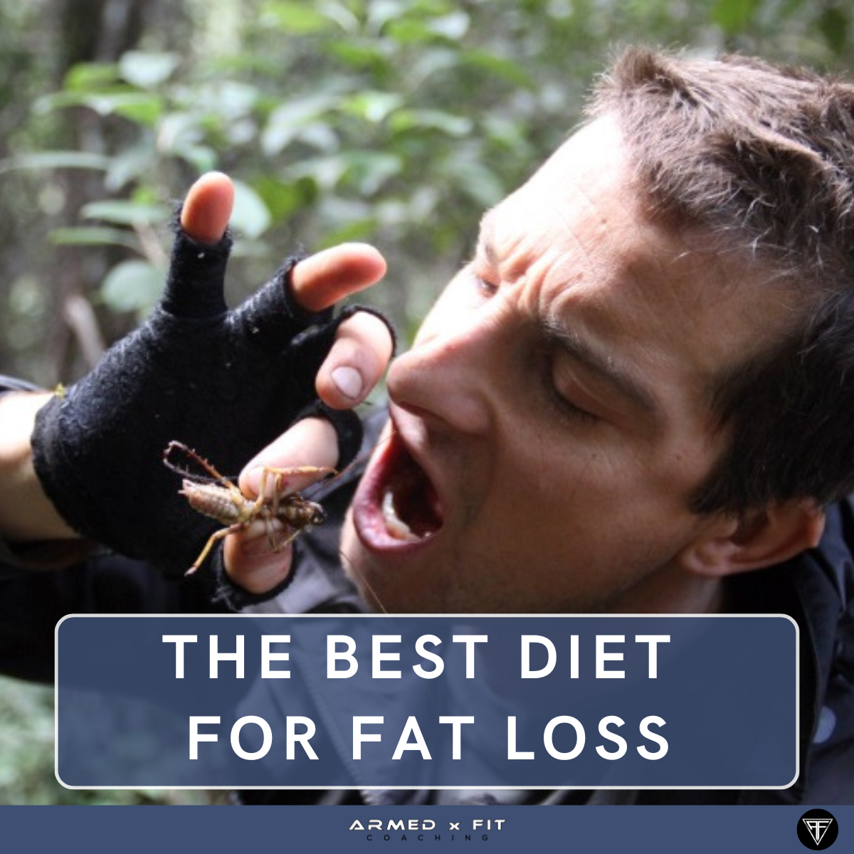The Best Diet for Fat Loss Is the One You Can Actually Follow